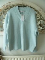 trui maat L, Ophalen of Verzenden, Nieuw, Maat 42/44 (L), Overige kleuren