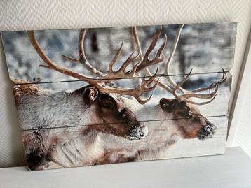 Te Koop Wandbord Wanddecoratie Rendieren In Sneeuw beschikbaar voor biedingen