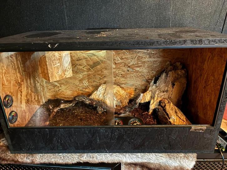 Terrarium 80x40x40, Dieren en Toebehoren, Reptielen en Amfibieën, 0 tot 2 jaar