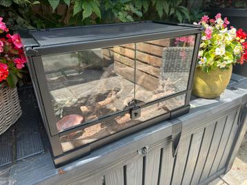 Terrarium met waterbak, hout en slaap/verschuil plaats beschikbaar voor biedingen