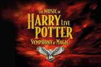2x 1e rang ticket The music of Harry Potter Live Symphony of, Tickets en Kaartjes, Twee personen