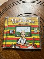 Paolo nutini CD, Ophalen of Verzenden, 2000 tot heden, Zo goed als nieuw