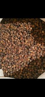 Barnstenen Amber, Ophalen