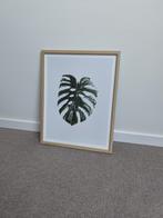 Schilderij met monstera blad en houten lijst, Ophalen, Zo goed als nieuw, Schilderij, Minder dan 50 cm