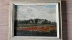 Bloembollenveld, Ophalen of Verzenden