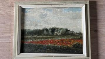 Bloembollenveld beschikbaar voor biedingen
