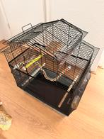 Vogelkooi met accessoires, Dieren en Toebehoren, Vogels | Parkieten en Papegaaien, Parkiet