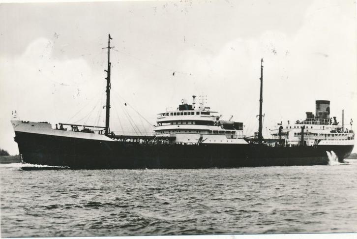 1196  s.s. Korovina Reder Shell Tankers, Verzamelen, Scheepvaart, Kaart, Foto of Prent, Ophalen of Verzenden