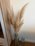 Bosje pluijmen, Ophalen, Nieuw