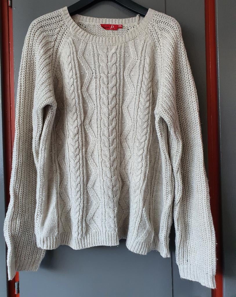 Lea H. gebreide trui beige met subtiele glans, Kleding | Dames, Truien en Vesten, Gedragen, Maat 46/48 (XL) of groter, Beige, Ophalen of Verzenden