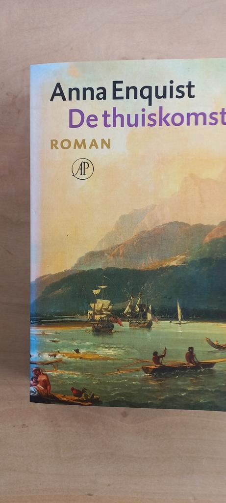Anna Enquist - De thuiskomst, Boeken, Literatuur, Zo goed als nieuw, Nederland, Ophalen of Verzenden
