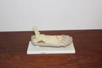 Anatomisch model voet, Antiek en Kunst, Curiosa en Brocante, Ophalen of Verzenden