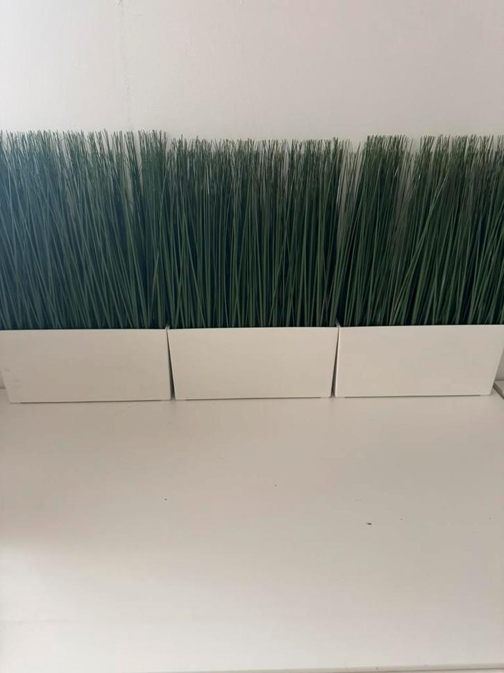 Ikea Fejka kunstgras in pot, Huis en Inrichting, Woonaccessoires | Kamerschermen, Zo goed als nieuw, Ophalen