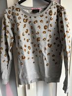 Mooie zomersweater van het merk Scotch & Soda mt 36/38, Ophalen of Verzenden, Zo goed als nieuw, Maat 36 (S), Grijs