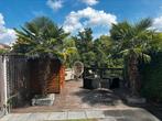 2 zeer mooie palmbomen, winterhard ongeveer 3 -3.5 m hoog, 250 tot 400 cm, Zomer, Palmboom, Ophalen