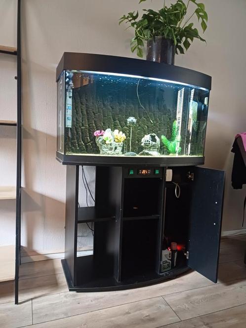 Aquarium compleet, Dieren en Toebehoren, Vissen | Aquaria en Toebehoren, Gebruikt, Overige typen, Ophalen