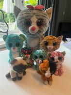 Ty Beanie Boo poezen, Ophalen of Verzenden, Zo goed als nieuw, Overige typen