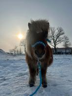 Opzoek naar hca sulky 16”, Dieren en Toebehoren, Ophalen, Overige soorten