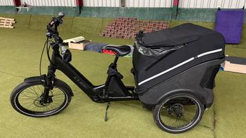 Cube Trike Cargo Hybrid 750 beschikbaar voor biedingen