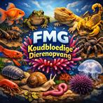 Aquarium dierenopvang, Dieren en Toebehoren, Vissen | Aquaria en Toebehoren, Ophalen of Verzenden, Gebruikt, Overige typen