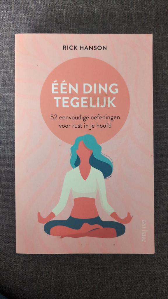 Eén Ding Tegelijk - Rick Hanson, Boeken, Esoterie en Spiritualiteit, Gelezen, Achtergrond en Informatie, Meditatie of Yoga, Ophalen of Verzenden