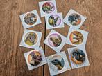 Dinosauriërs stickers, Ophalen of Verzenden, Zo goed als nieuw, Overige typen