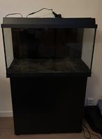 Aquarium met onderkast 120L, Ophalen of Verzenden, Gebruikt, Leeg aquarium