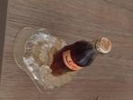 Coca Cola fles gegoten in ijsklonten, Antiek en Kunst, Ophalen