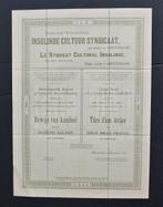 Insulinde Cultuur Syndicaat (Rubber/Ned.Indie) - 1910, Verzenden, Voor 1920, Aandeel