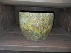 Mooi sober groene bloedpot tekoop., Ophalen, Rond, Zo goed als nieuw, Minder dan 25 cm