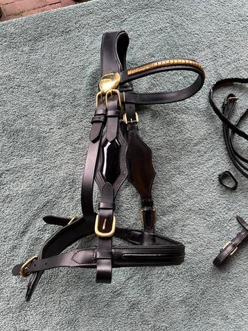 Luxe lederen hoofdstellen  voor paard  shire /koudbloed beschikbaar voor biedingen