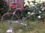 DACCORDI, 55 tot 59 cm, Ophalen