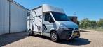 Nissan Primastar Paardenwagen, Auto's, Bestelauto's, Bedrijf, Diesel, 2140 kg, Geïmporteerd