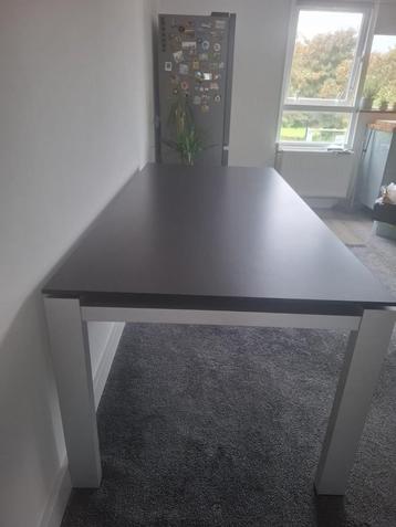 Eettafel 8+2 people dining table  beschikbaar voor biedingen