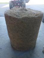 Hooi, Ophalen of Verzenden, Vee