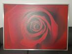 Rode Roos Print met Zilveren Lijst, de roos van Ikea, Ophalen, 75 tot 100 cm, 75 cm of meer, Print