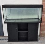 Juwel rio 240, Dieren en Toebehoren, Vissen | Aquaria en Toebehoren, Ophalen, Leeg aquarium