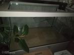 Terrarium vivarium, Dieren en Toebehoren, Reptielen en Amfibieën | Toebehoren, Ophalen