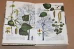 Bomen en struiken in bos en veld. Moussault., Boeken, Natuur, Ophalen of Verzenden, Gelezen, Bloemen, Planten en Bomen