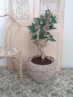 Plant in brocante pot....Poppenhuis 1:12... (Nr F8) *, Ophalen of Verzenden, Nieuw, Poppenhuis