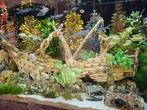 3 keer Juwel aquarium met vissen kunstplanten en inhoud, Dieren en Toebehoren, Vis, Zoetwatervis