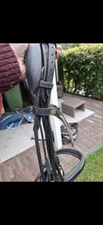 Stang en trens hoofdstel, Dieren en Toebehoren, Ophalen of Verzenden, Gebruikt, Dressuur