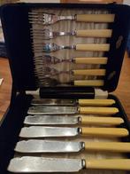 Oud viscouvert, Ophalen of Verzenden