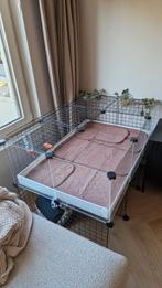 Caviahok, C&C Cage, draadkubus kooi, Dieren en Toebehoren, Knaagdieren en Konijnen | Hokken en Kooien, 110 cm of meer, Zo goed als nieuw