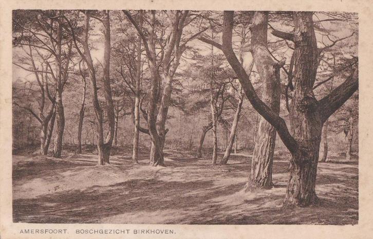 amersfoort 3 x diverse waaronder 1x 1929 met  tekst, Verzamelen, Ansichtkaarten | Nederland, Utrecht, Voor 1920, Ophalen of Verzenden