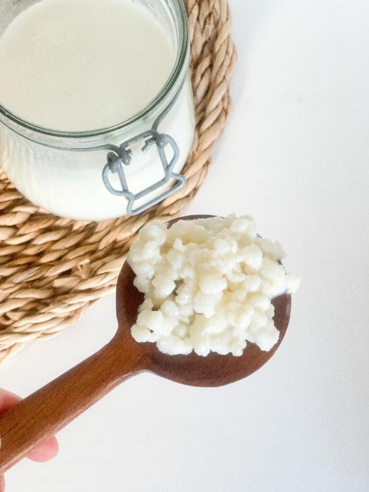 Biologische Melk kefir korrels, Diversen, Levensmiddelen, Ophalen of Verzenden