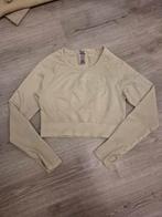 Gymshark shirt maat xl, Ophalen of Verzenden, Zo goed als nieuw, Maat 46/48 (XL) of groter
