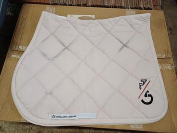 Cavalleria toscana spring  beschikbaar voor biedingen