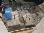 Hamsterkooi en of knaagdierkooi, Dieren en Toebehoren, Minder dan 60 cm, Kooi, Minder dan 75 cm, Ophalen of Verzenden