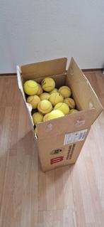 100 tennisballen gebruikt, Ophalen of Verzenden, Gebruikt, Ballen, Wilson